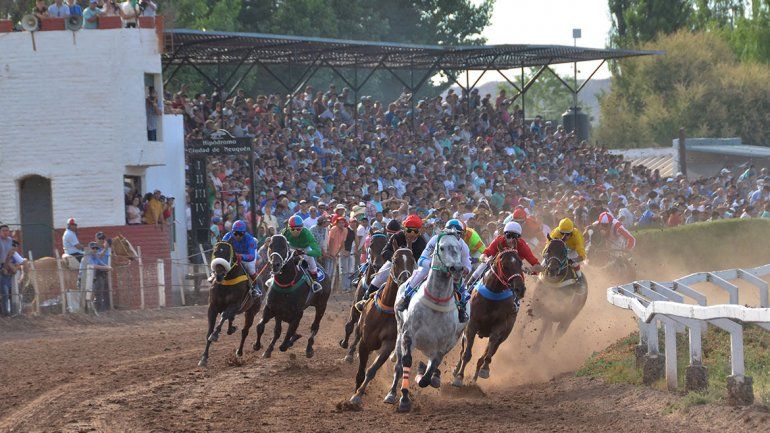 Animalistas van contra las carreras de caballos