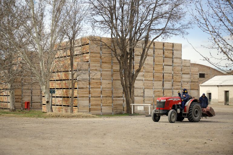 En las bodegas hay actividad todo el año con la vendimia, la poda y el mantenimiento de las instalaciones. El vino argentino tiene una gran cadena de valor en todo el país.