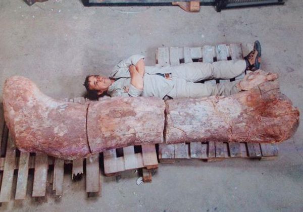 Dicen en Chubut que hallaron el dino más grande
