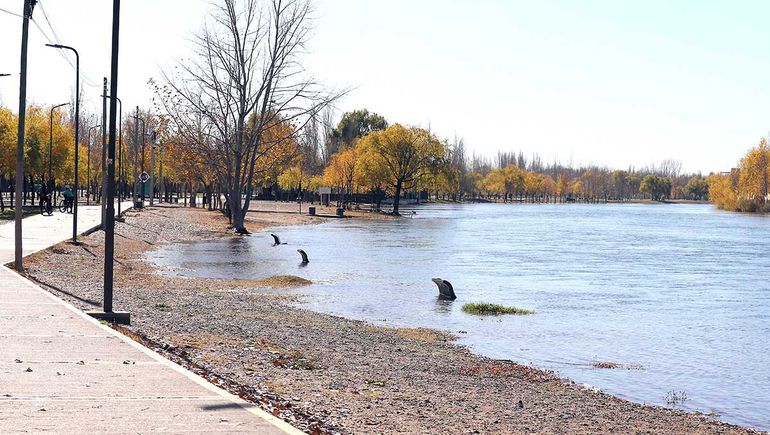 Cómo está ahora el río Limay y por qué creció tanto: la explicación oficial de la AIC