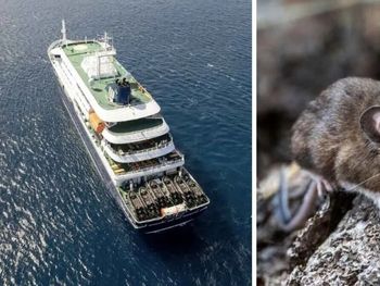 El crucero MV Hondius quedó bajo investigación internacional tras los casos de hantavirus detectados entre pasajeros extranjeros.