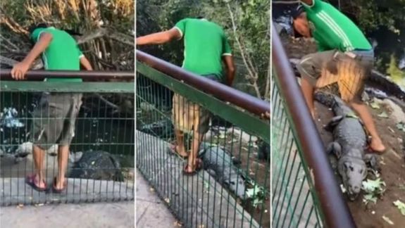 Estaba borracho y pateó cocodrilos: No me faltes el respeto