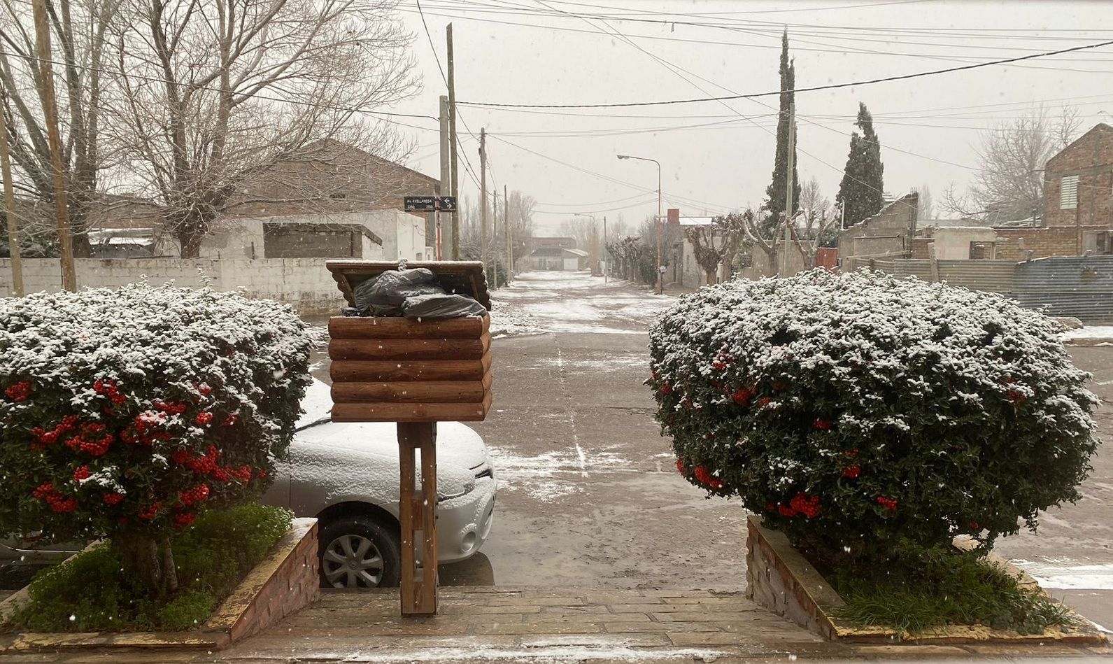 Se cumplió el pronóstico: llegó la nieve
