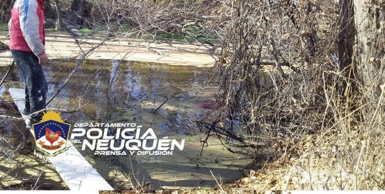 La yegua no podía salir por sus propios medios de la laguna en la que había caído, pero por suerte la pudieron rescatar con vida.