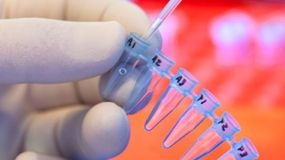 La prueba genética concluyó que no era el padre biológico, un dato central en el conflicto que llegó a la Justicia. | LM Neuquen La prueba genética concluyó que no era el padre biológico, un dato central en el conflicto que llegó a la Justicia.