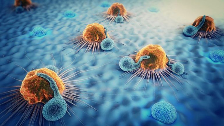 Cáncer: nuevo tratamiento logró eliminar los tumores