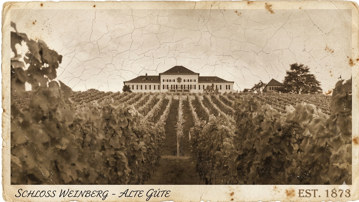 En el corazón del Rheingau alemán, Schloss Johannisberg conserva más de 25.000 botellas históricas en una legendaria cava subterránea donde nació la vendimia tardía.