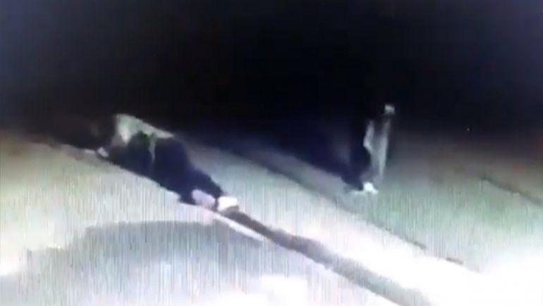 Un video muestra cuando un jubilado mató a un ladrón