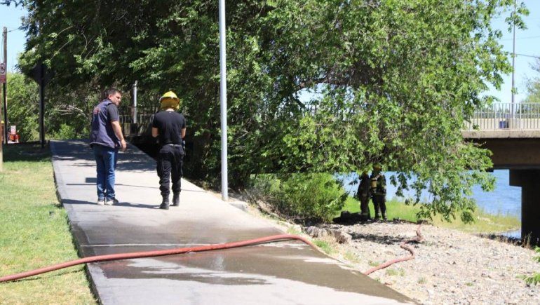 Susto, fuga y una gran llamarada: qué pasó en el puente de Linares al fondo