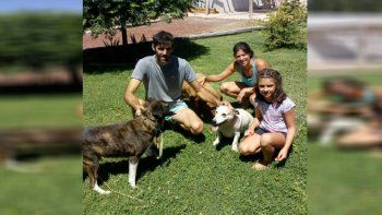 los perritos cata y oki, amigos inseparables, tienen un nuevo hogar los perritos cata y oki, amigos inseparables, tienen un nuevo hogar