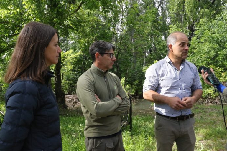 A la vera del Río Limay, la muni e instituciones plantaron 30 sauces criollos. A la vera del Río Limay, la muni e instituciones plantaron 30 sauces criollos.