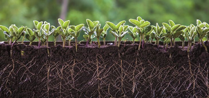 Con esta nueva tecnología se podría aumentar la productividad lo que cambiaria el negocio en el sector. Con esta nueva tecnología se podría aumentar la productividad lo que cambiaria el negocio en el sector.