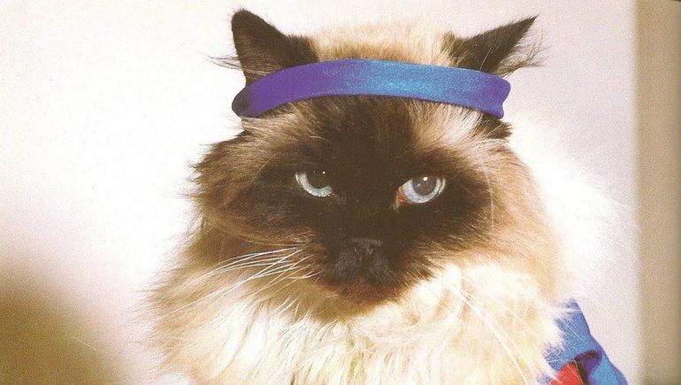 El clip viral de Twitter sacude de risa a los usuarios