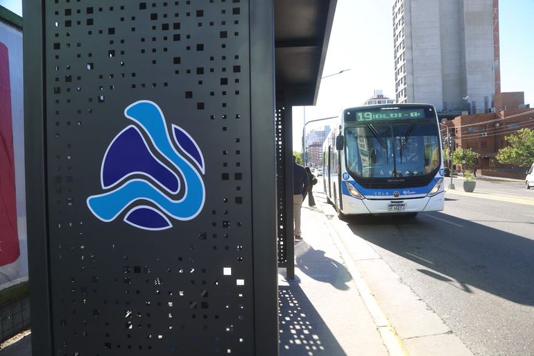 Neuquén tiene 24 nuevas garitas de colectivos modernas en distintos sectores de la ciudad