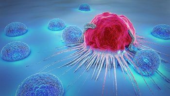 es posible disminuir el riesgo genetico de cancer es posible disminuir el riesgo genetico de cancer