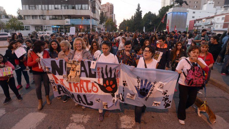 Marcharon por Tommy y en defensa de los animales
