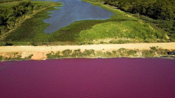 La laguna paraguaya que se volvió rosada por la contaminación