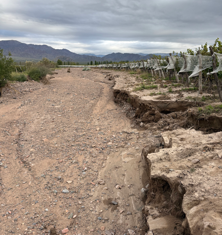 Cárcavas en el Cepillo, en Valle de Uco. Cárcavas en el Cepillo, en Valle de Uco.