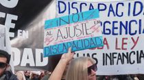 Se presentó un amparo federal para restituir las pensiones por discapacidad a 500 neuquinos.