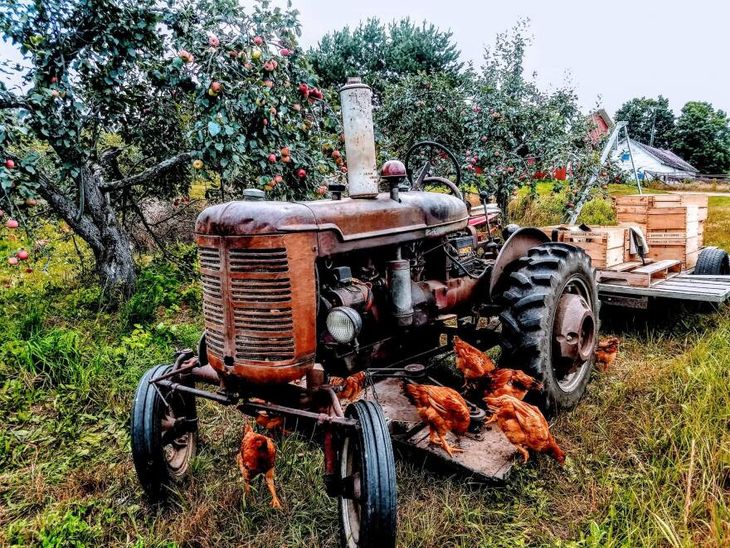El 95% de los productores que abandonaron la actividad durante 2025 tenía menos de 30 hectáreas. La tendencia confirma un proceso de concentración que lleva décadas y que parece lejos de detenerse. El 95% de los productores que abandonaron la actividad durante 2025 tenía menos de 30 hectáreas. La tendencia confirma un proceso de concentración que lleva décadas y que parece lejos de detenerse.