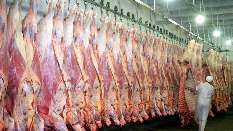 El aumento del valor promedio por tonelada permitió que las exportaciones de carne vacuna generaran ingresos récord en los primeros meses del año. | LM Neuquen El aumento del valor promedio por tonelada permitió que las exportaciones de carne vacuna generaran ingresos récord en los primeros meses del año.