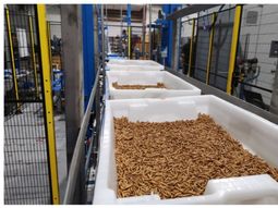 EN 2025 estará en marcha la fábrica de insectos más grande del mundo. EN 2025 estará en marcha la fábrica de insectos más grande del mundo.