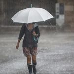 Este viernes llegan las lluvias, mientras que las heladas están al caer. | LM Neuquen Este viernes llegan las lluvias, mientras que las heladas están al caer.