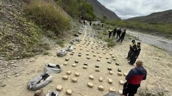 escapaba con 240 kilos de cocaina y choco contra un arbol: la sospecha que lo une a neuquen escapaba con 240 kilos de cocaina y choco contra un arbol: la sospecha que lo une a neuquen