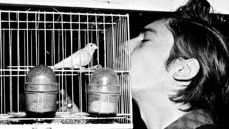 Zitarrosa en una instantánea en su casa de Montevideo. El uruguayo amaba las aves. Zitarrosa en una instantánea en su casa de Montevideo. El uruguayo amaba las aves.