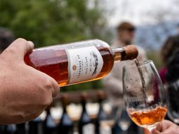 Río Negro celebra el enoturismo: 12 bodegas abren tranqueras para visitas, degustaciones y aprender del vino desde adentro. Río Negro celebra el enoturismo: 12 bodegas abren tranqueras para visitas, degustaciones y aprender del vino desde adentro.