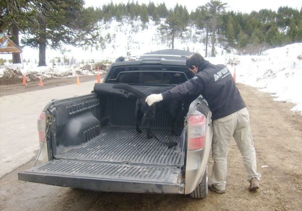Así son las trampas narco para pasar la droga a Chile