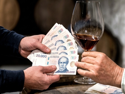 Patagonia tiene salarios provinciales más altos, pero carece de datos sectoriales específicos para bodegas. Patagonia tiene salarios provinciales más altos, pero carece de datos sectoriales específicos para bodegas.
