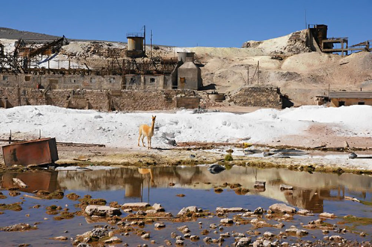 La Casualidad es una localidad abandonada de la provincia de Salta, dentro del Departamento Los Andes, en la puna argentina. La Casualidad es una localidad abandonada de la provincia de Salta, dentro del Departamento Los Andes, en la puna argentina.