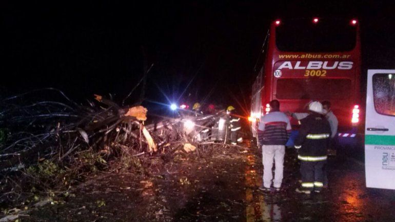 Por el temporal, un árbol cayó sobre un micro y causó heridos