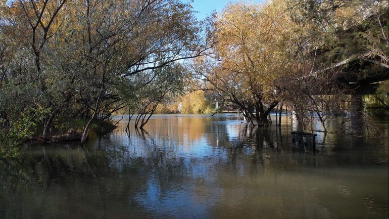 De momento, la crecida del río Neuquén no ha afectado a los vecinos de Vista Alegre y Costa de Reyes. De momento, la crecida del río Neuquén no ha afectado a los vecinos de Vista Alegre y Costa de Reyes.