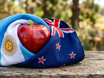 Con un volumen acotado pero de mayor valor, Nueva Zelanda factura más de 700 millones de dólares, diez veces más que Argentina en el mercado global. Con un volumen acotado pero de mayor valor, Nueva Zelanda factura más de 700 millones de dólares, diez veces más que Argentina en el mercado global.