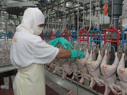 argentina: el consumo de pollo desplazo al de la carne vacuna argentina: el consumo de pollo desplazo al de la carne vacuna