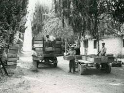 La historia de los Di Battista y los Lamperti es también la historia de Allen. Foto: gentileza La historia de los Di Battista y los Lamperti es también la historia de Allen. Foto: gentileza