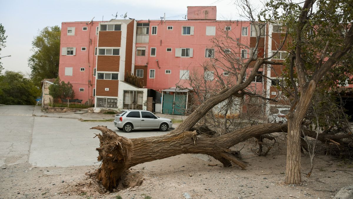 Galería: así quedaron las calles de Neuquén