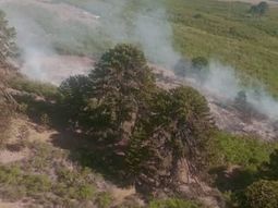 incendios forestales en neuquen: alertan por nuevos focos en valle magdalena y ruca choroi