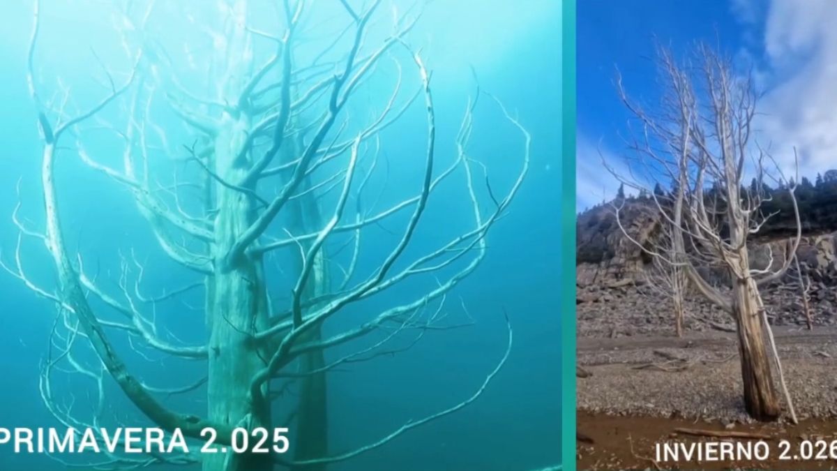 De bucear a caminar por un embalse patagónico: los videos que muestran una bajante inédita