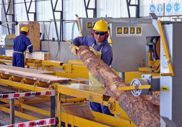 La industria forestal da trabajo a 300 mil personas