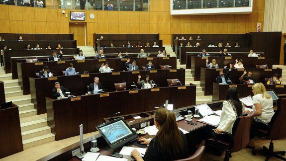 Por amplia mayoría fue aprobada la ley que prohíbe la transferencia del instituto provincial a la Nación.