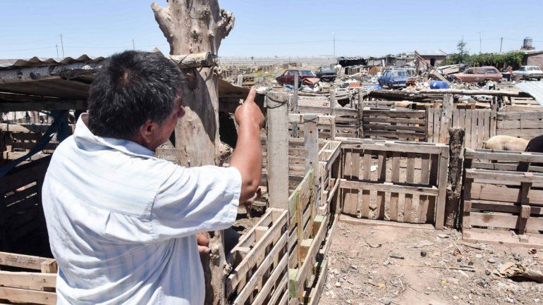 Al salir de sus precarias viviendas