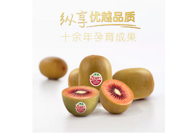 Nueva Zelanda profundiza su comercio de kiwis con China. Nueva Zelanda profundiza su comercio de kiwis con China.