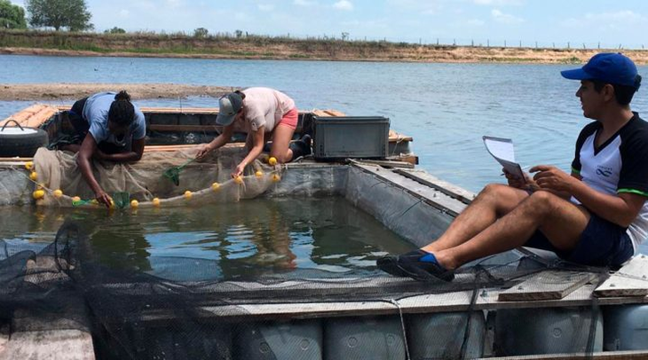 Las cavas presentan agua más quieta que las lagunas, lo que reduce la disponibilidad de zooplancton. Las cavas presentan agua más quieta que las lagunas, lo que reduce la disponibilidad de zooplancton.