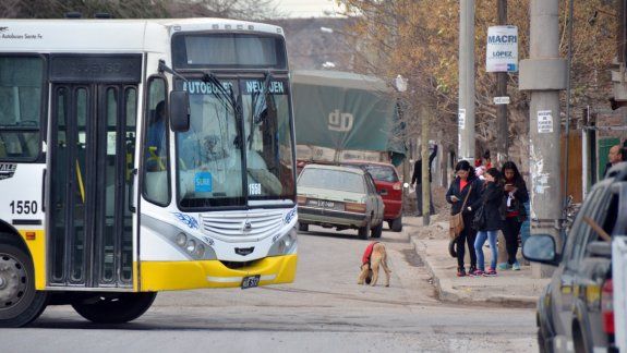 Los barrios del oeste son los más complicados para implementar el sistema de paradas flexibles.