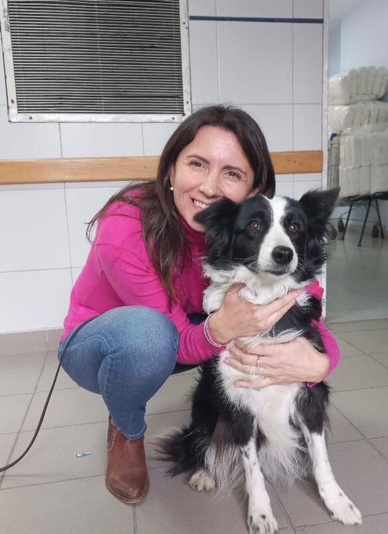 Naomi, la border collie que hacía ese trabajo antes. Naomi, la border collie que hacía ese trabajo antes.