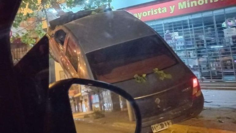 Un auto terminó arriba de un árbol.