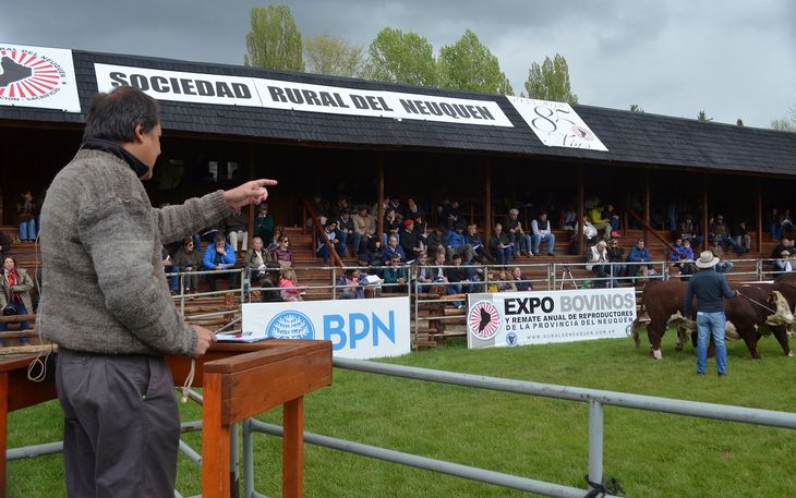 En el marco de la exposición se llevará a cabo el Remate Anual de Reproductores. Foto: gentileza SRN. En el marco de la exposición se llevará a cabo el Remate Anual de Reproductores. Foto: gentileza SRN.